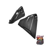  Carbon sườn 2 bên BMW R1200GS/GSA - R1250GS/GSA 
