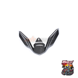  Ốp mỏ chim carbon cho BMW R1250GS 