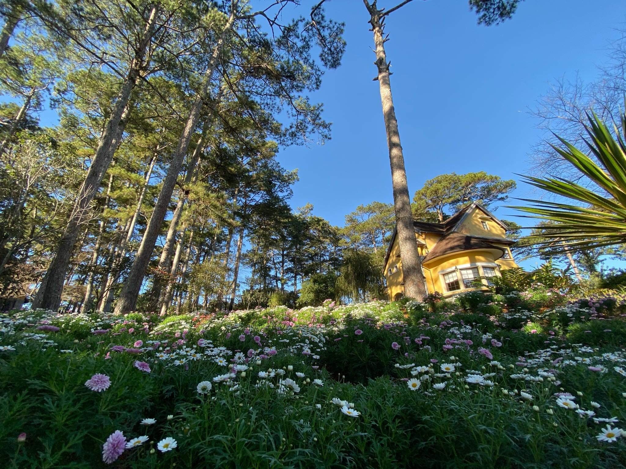 Ana Mandara Villas Dalat Resort