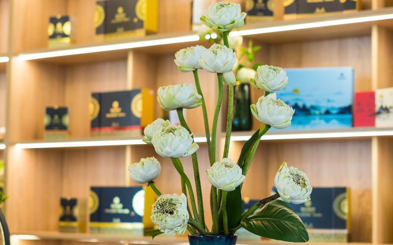 Khách sạn Sandals LiLy Đà Lạt