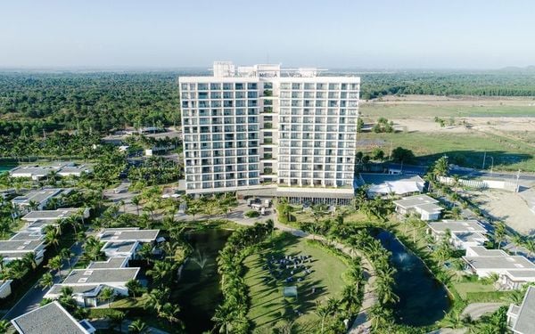 toà nhà cao tầng màu trắng nằm giữa rừng cây bên bãi biển