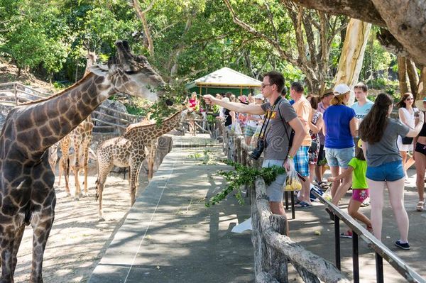 Tham quan vườn thú Khao Kheow tại tour Bangkok - Pattaya 5N4Đ