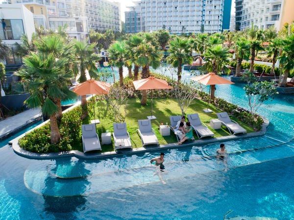 hồ bơi màu xanh có những cây xanh