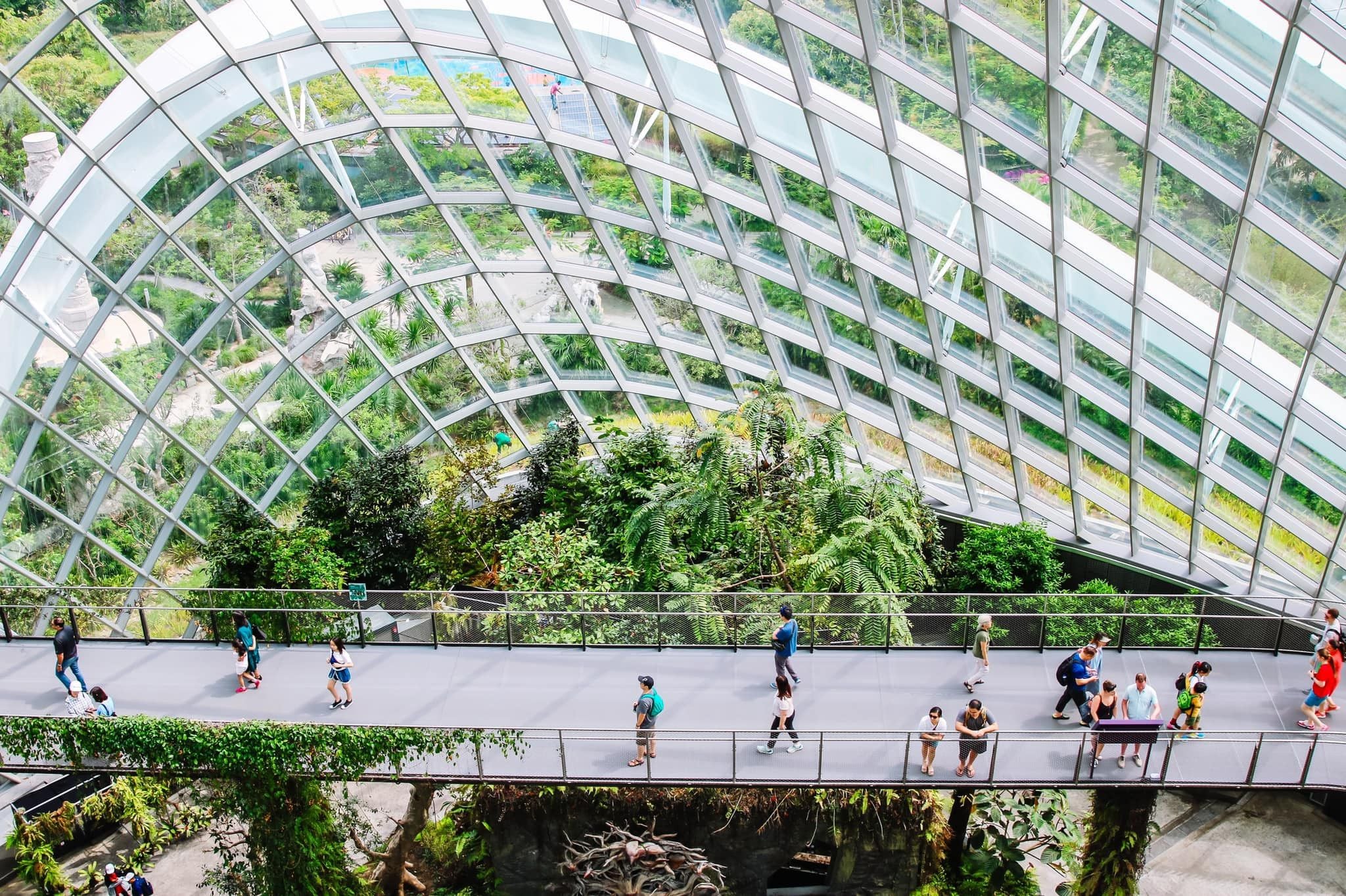 Tour Singapore 4N3Đ từ TPHCM (1 ngày tự do)