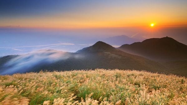 Tour Du lịch Đài Loan - Núi Dương Minh