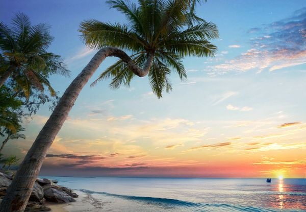 Các điểm chụp hình check in sống ảo tại&nbsp;VinOasis Phú Quốc Resort