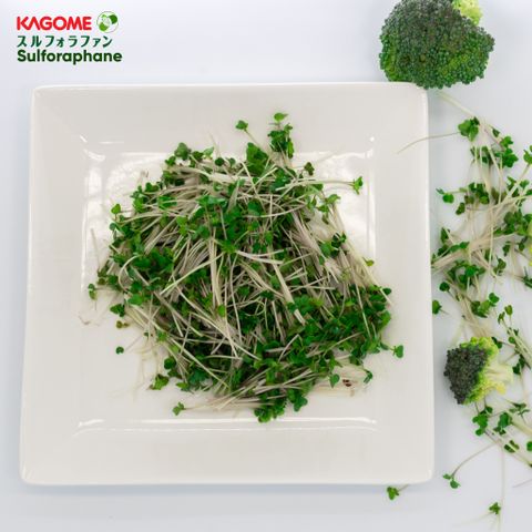  Viên uống bảo vệ GAN KAGOME SULFORAPHANE 