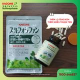  Viên Uống Bảo Vệ GAN KAGOME SULFORAPHANE 