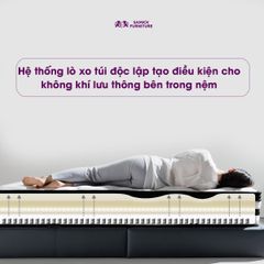 NỆM LÒ XO TRANSFORM BASIC (1200 x  2000)mm