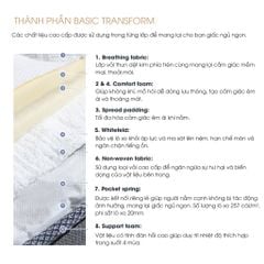 NỆM LÒ XO TRANSFORM BASIC (1400 x  2000)mm