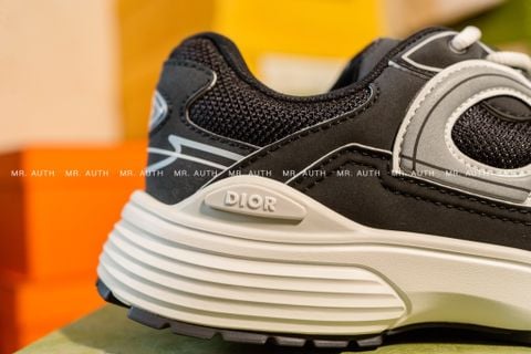  Dior B30 Sneaker 
