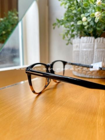  Tom Ford Glasses 