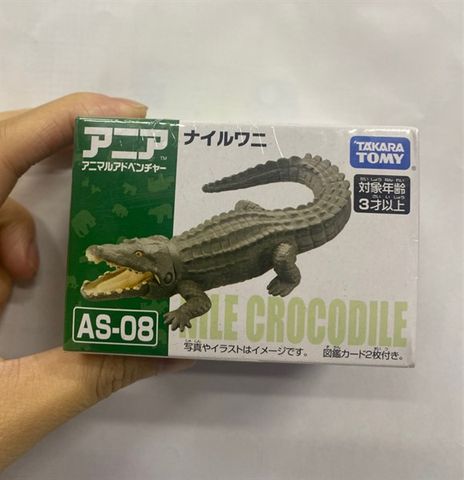  AS-08 Nile crocodile 