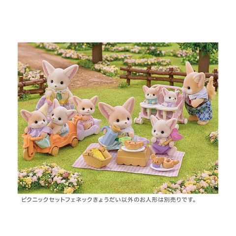  DF-24 Doll and Furniture Set, Nakayoshi Picnic - Feneck 