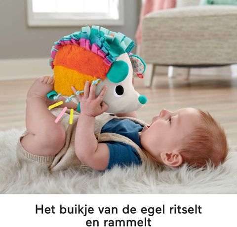  Đồ chơi nhím đáng yêu Fisher-Price Cuddly Hedgehog HBP42 