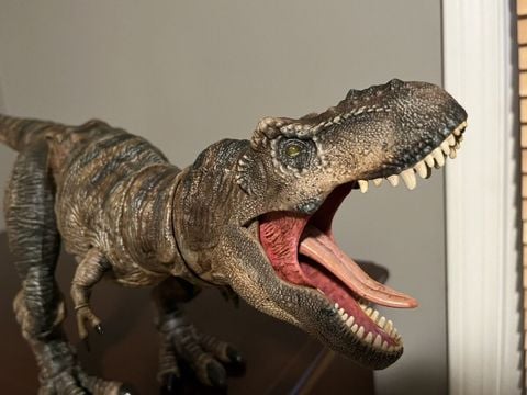  Đồ chơi khủng long HFG66 Mattel Jurassic World Hammond Collection T-Rex 