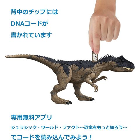  Đồ chơi mô hình khủng long HFK06 JURASSIC WORLD Extreme Damage Roarin’ Allosaurus Dinosaur 