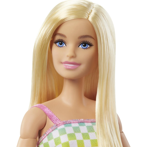  HJT13 Barbie Fashionistas Doll with Wheelchair 