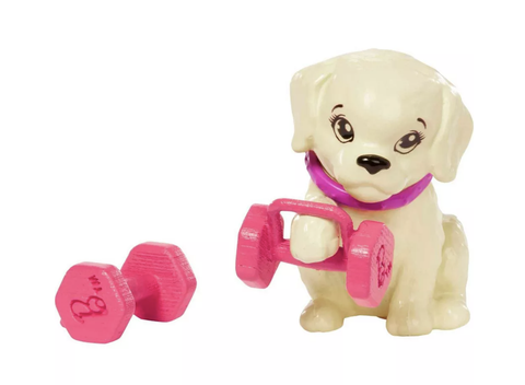  Búp bê HKT91 Mattel Barbie Wellness Doll - Workout 