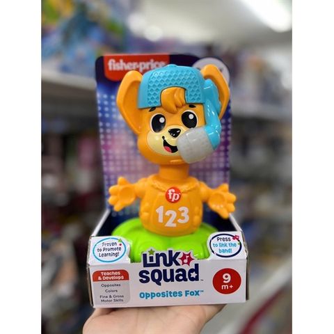  Đồ chơi HTW99 Fisher-Price Baby & Toddler Learning Toy Link Squad 