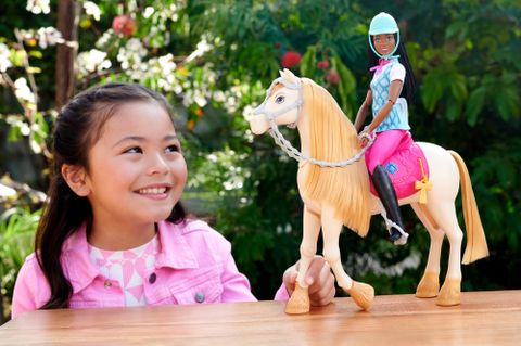  Búp bê HXJ39 Barbie Mysteries the Great Horse Chase Barbie Brooklyn Doll 
