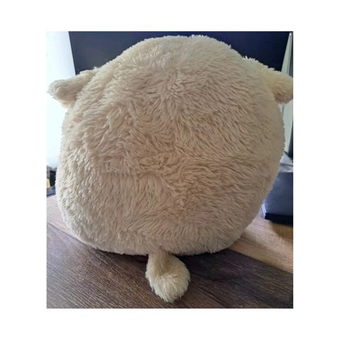  Đồ chơi gấu bông Squishmallows Stevon 40cm 