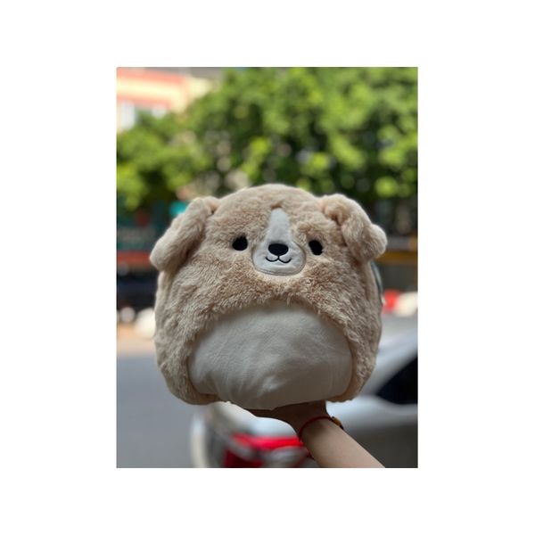 23win08 com gấu bông Squishmallows chó vàng Stevon 40cm
