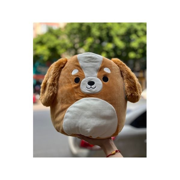 23win08 com gấu bông Squishmallows chó nâu Ysabel 40cm