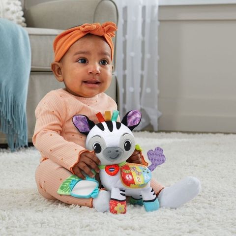  Chú ngựa vằn bằng bông 5508 VTech Baby Take Me With You Learning Toy - Zebra 