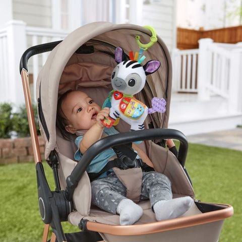  Chú ngựa vằn bằng bông 5508 VTech Baby Take Me With You Learning Toy - Zebra 