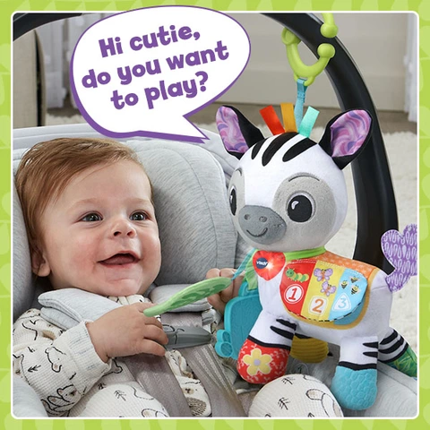  Chú ngựa vằn bằng bông 5508 VTech Baby Take Me With You Learning Toy - Zebra 