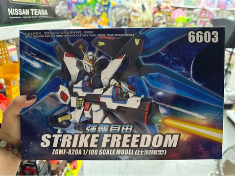  6603 Strike FreeDom 