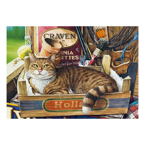 Xếp hình Puzzle Fothergill 500 mảnh CASTORLAND B-53476