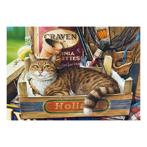  Xếp hình Puzzle Fothergill 500 mảnh CASTORLAND B-53476 