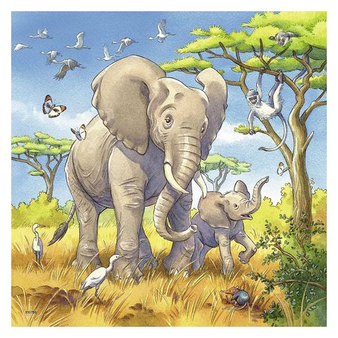  Xếp hình Puzzle Động vật Wild Animals 3x49p RV080038 