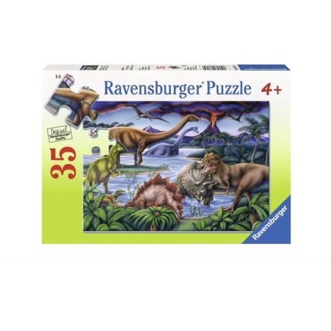  RV086139 Dinosaur Playground 35p 