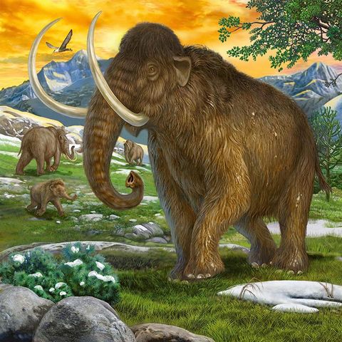  RV09358 8 Xếp hình puzzle Primeval Ruler 3 bộ 49 mảnh Ravensburger 