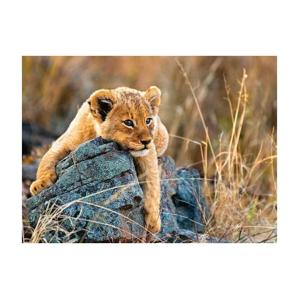 Xếp hình puzzle Little Lion 200 mảnh RAVENSBURGER 129461