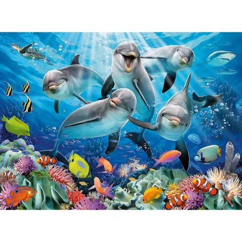 Tranh ghép Ravensburger Dolphins 500 miếng Jigsaw Puzzle 