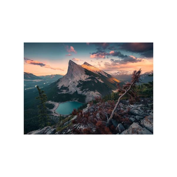 Xếp hình puzzle Wild Nature 1000 mảnh RAVENSBURGER 150113