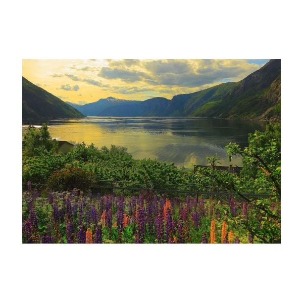 Xếp hình puzzle Fjord in Norway 1000 mảnh RAVENSBURGER 167432
