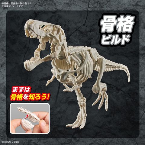  Bandai Spirits Planosaurus Tyrannosaurus Color Coded Plastic Model 
