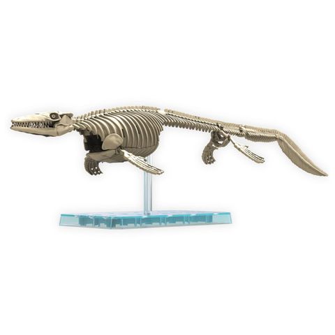  Planosaurus 2639638 Mosasaurus Color Coded Plastic Model 