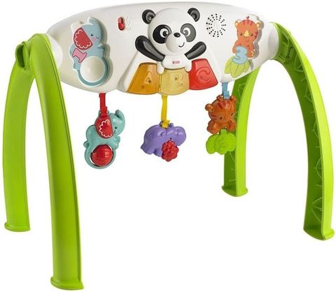  Kệ chữ A thông minh Grow-With-Me Gym Fisher Price Y6588 