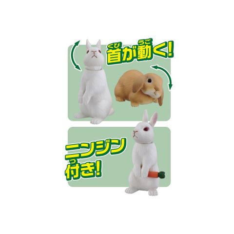  Mô hình Ania AS-34 Rabbit 