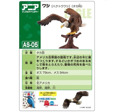  Mô hình chim đại bàng ANIA Animal AS-05 Bald Eagle Mini Action Figure Eductional 