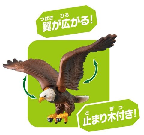  Mô hình chim đại bàng ANIA Animal AS-05 Bald Eagle Mini Action Figure Eductional 