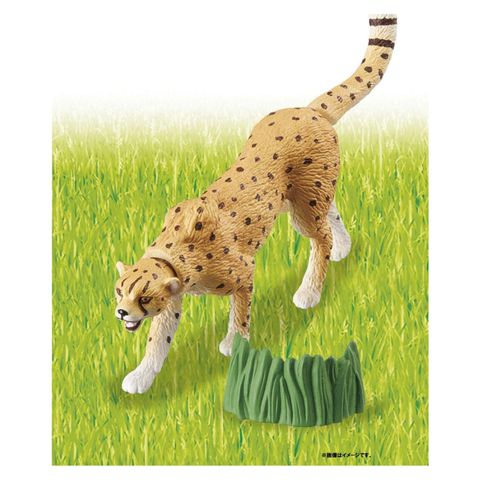  Đồ chơi mô hình ANIA AS-13 cheetah (wild Ver.) 
