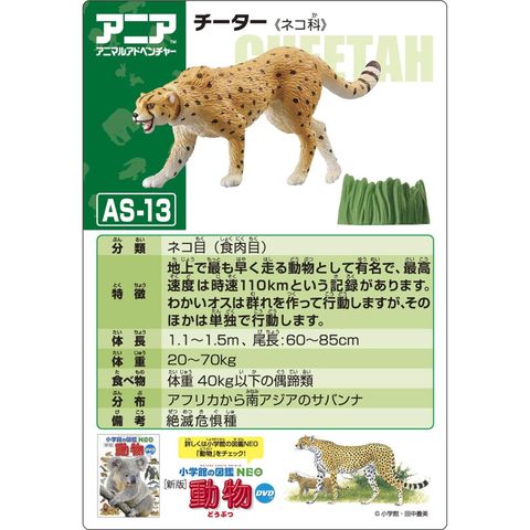  ANIA AS-13 cheetah (wild Ver.) 