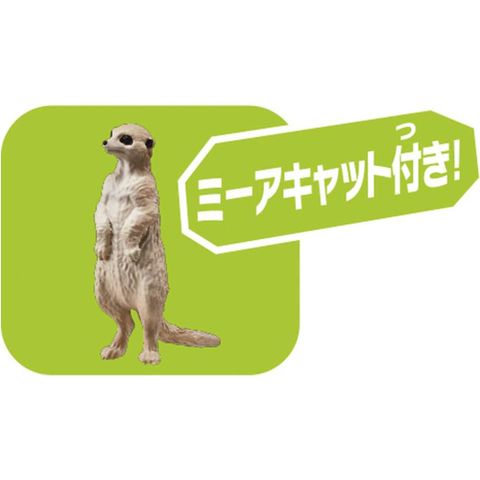  ANIA AS-01 Lion (with Suricata suricatta) 